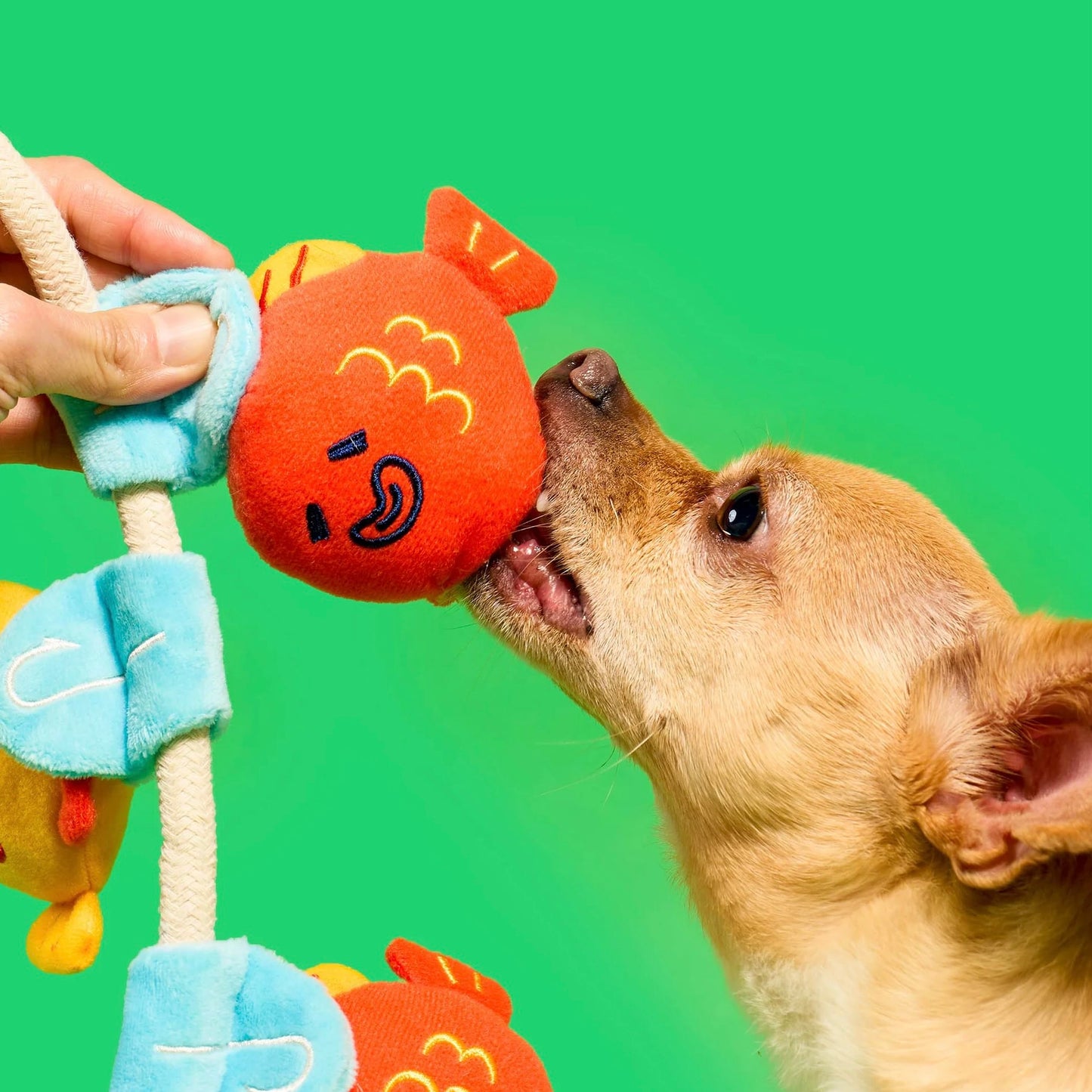 Fishing Nosework & Tug Toy