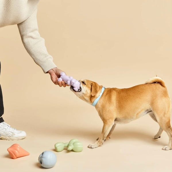 Gummy Squeaky Dog Toy