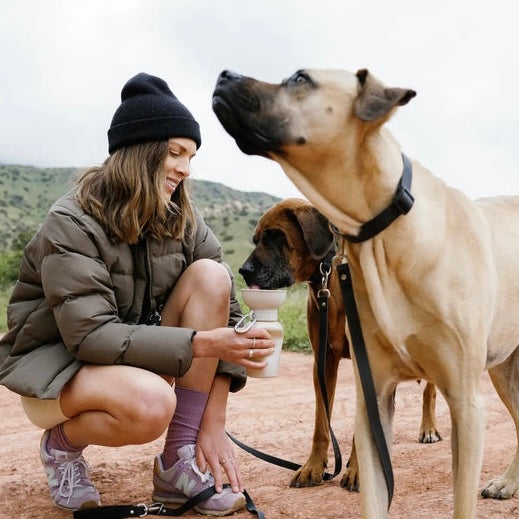 Flip travel bottle beige