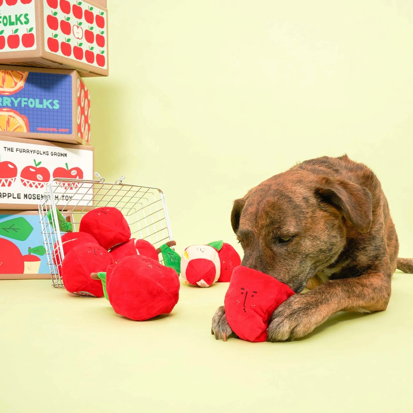 Apple Nosework Toy