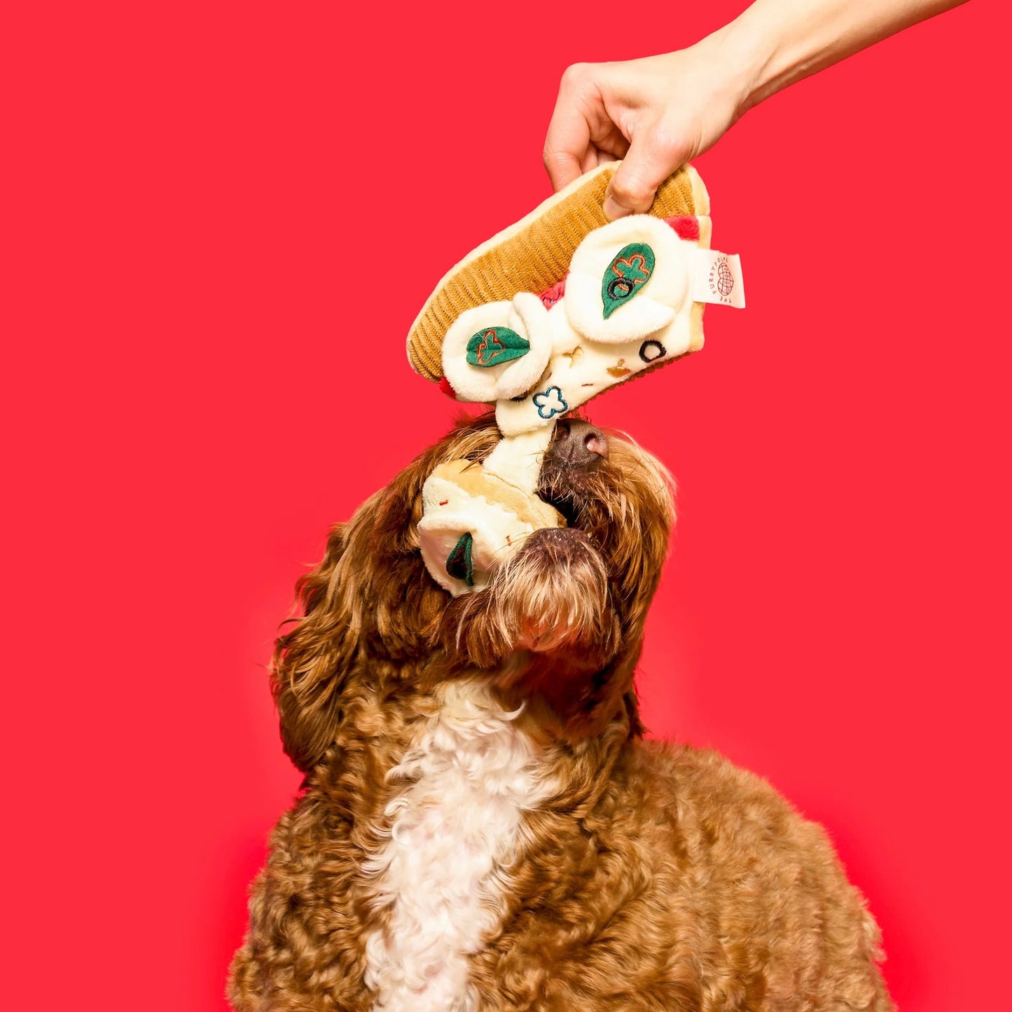 Pizza Nosework Toy