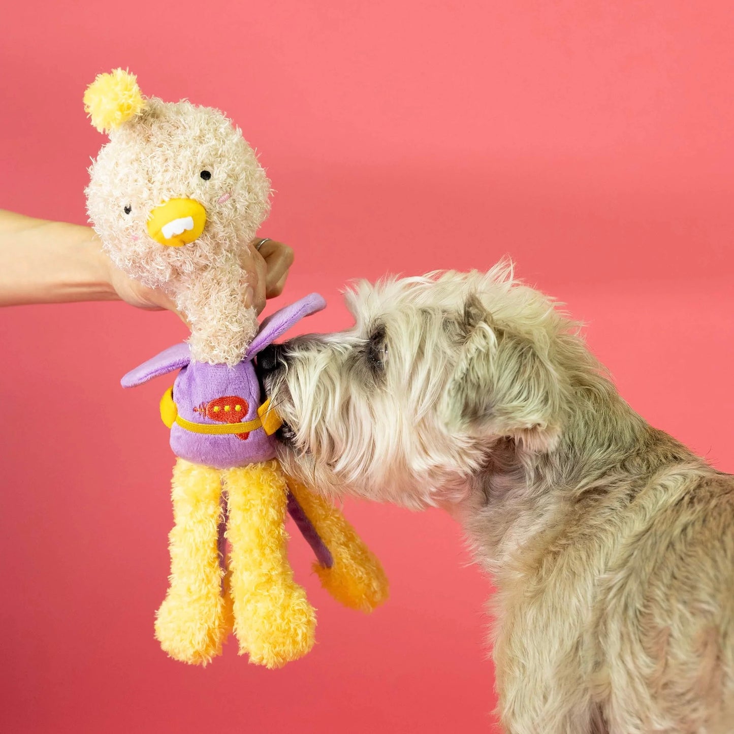 Ostriken Nosework Toy