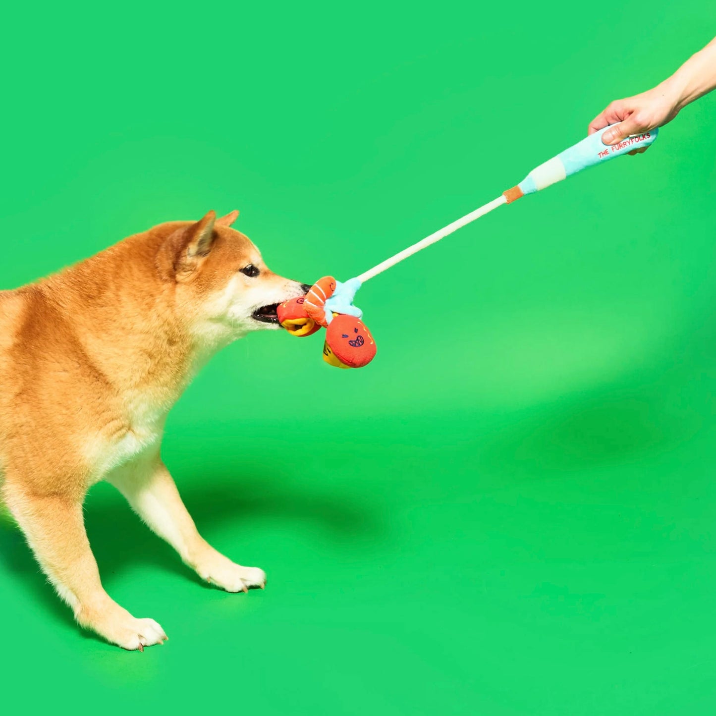 Fishing Nosework & Tug Toy