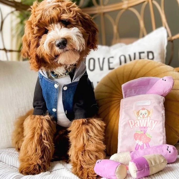 Strawberry Pawky Interactive/Nosework 4 Piece Dog Toy