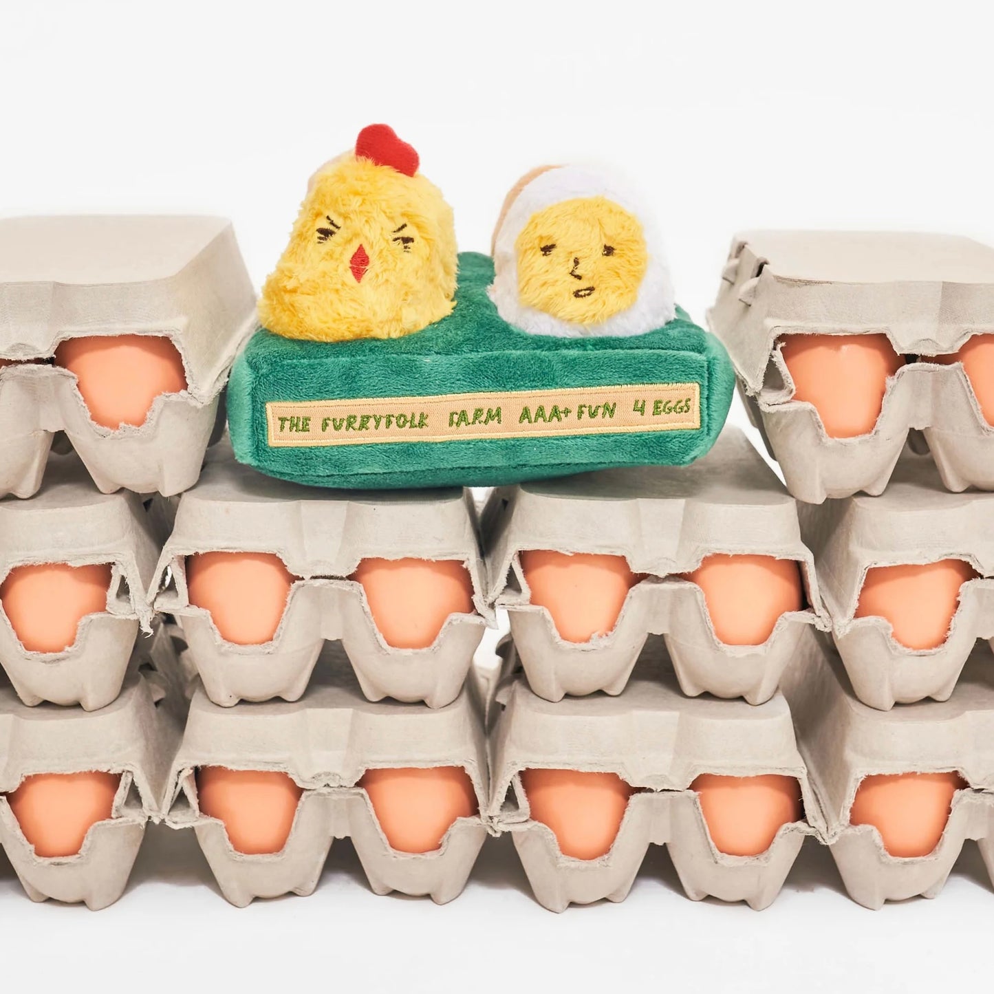 AAA+ Egg Nosework Toy