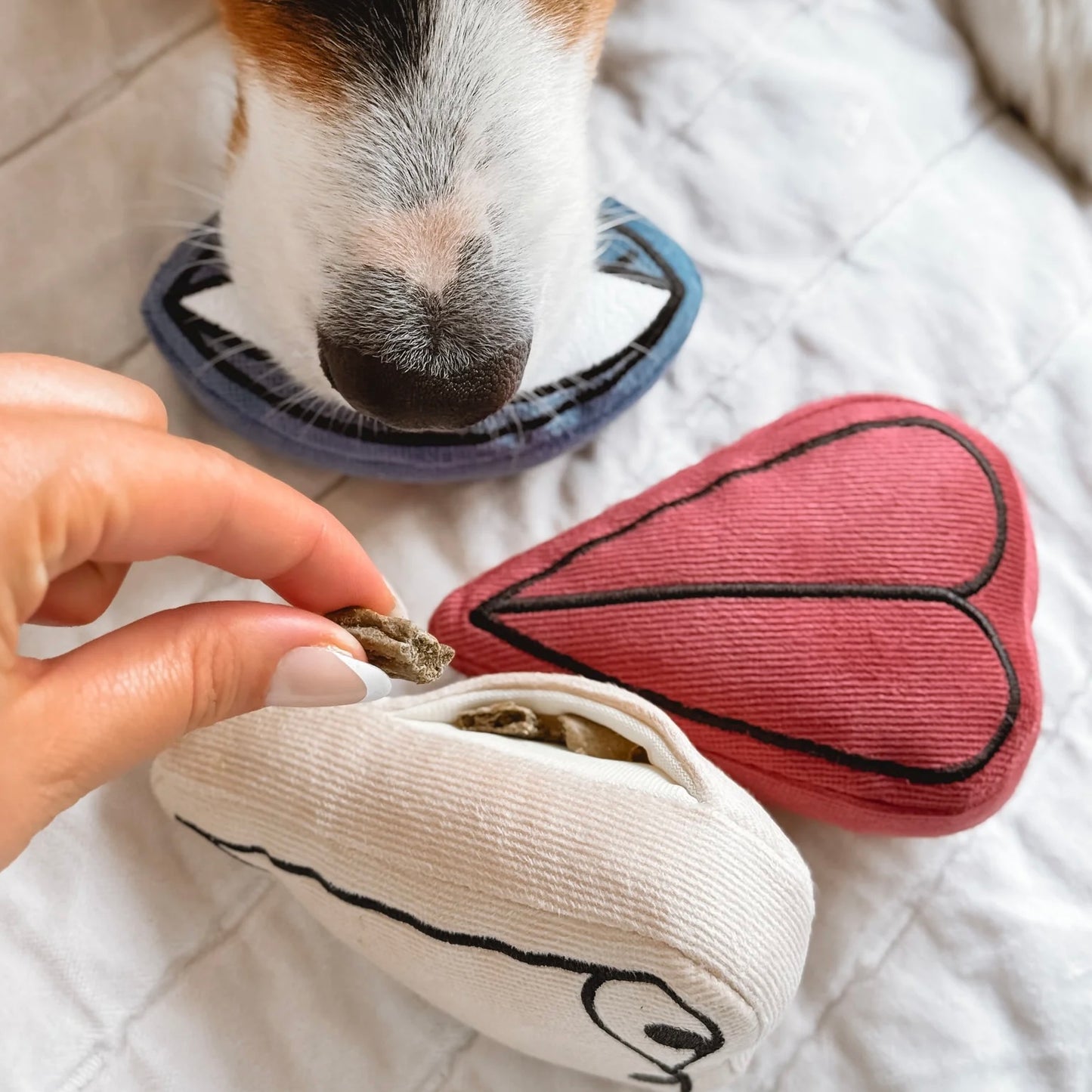 Picasso Enrichment Dog toy set