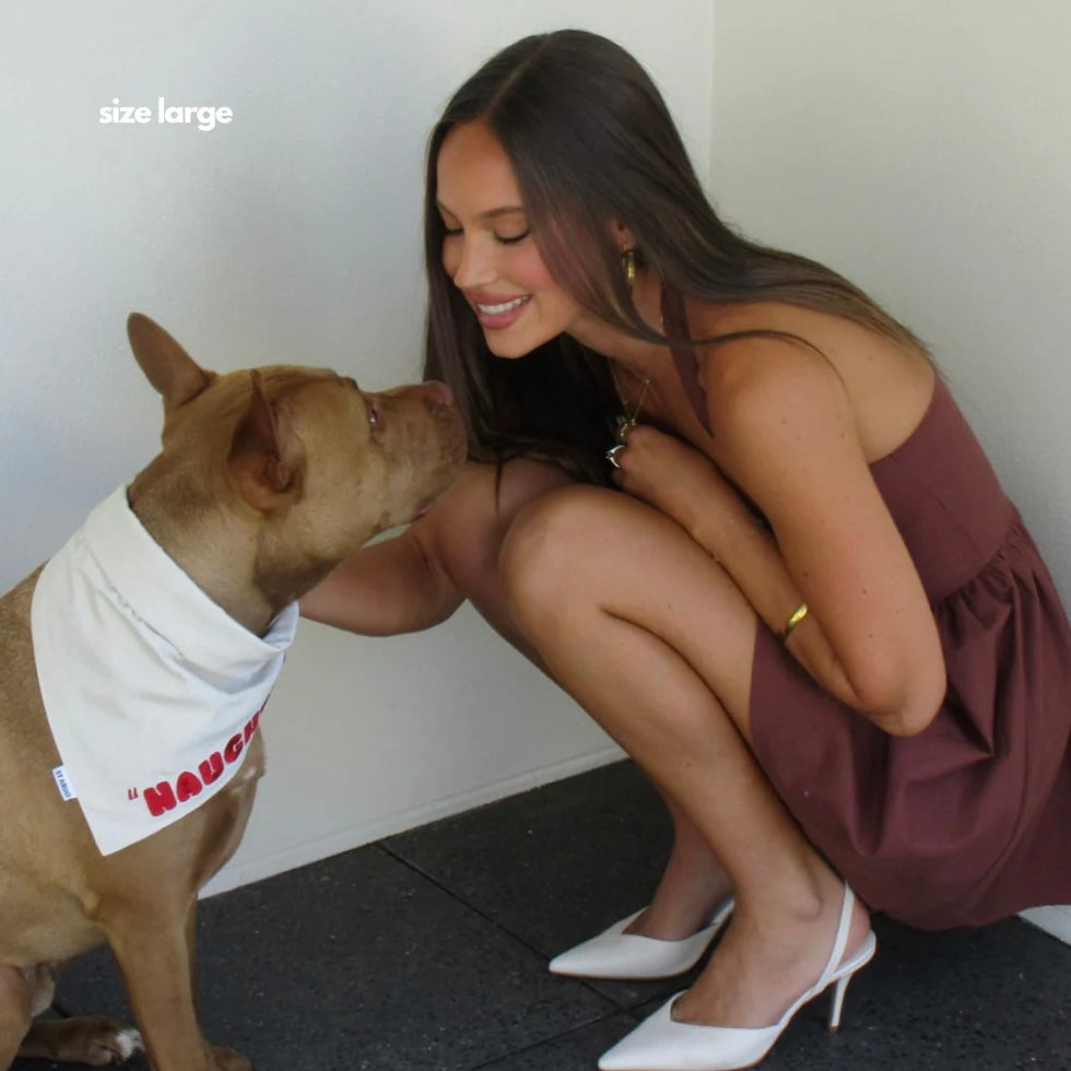 PRE ORDER Christmas dog bandana naughty nice