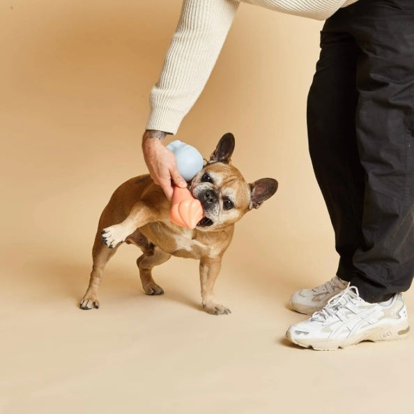 Whippy Squeaky Dog Toy