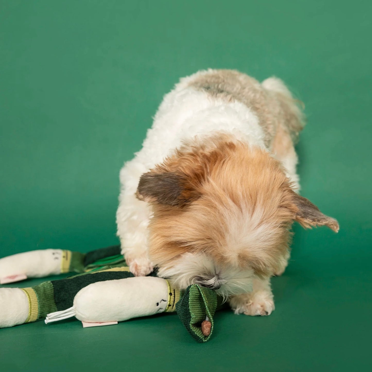 Green Onion Nosework Toy