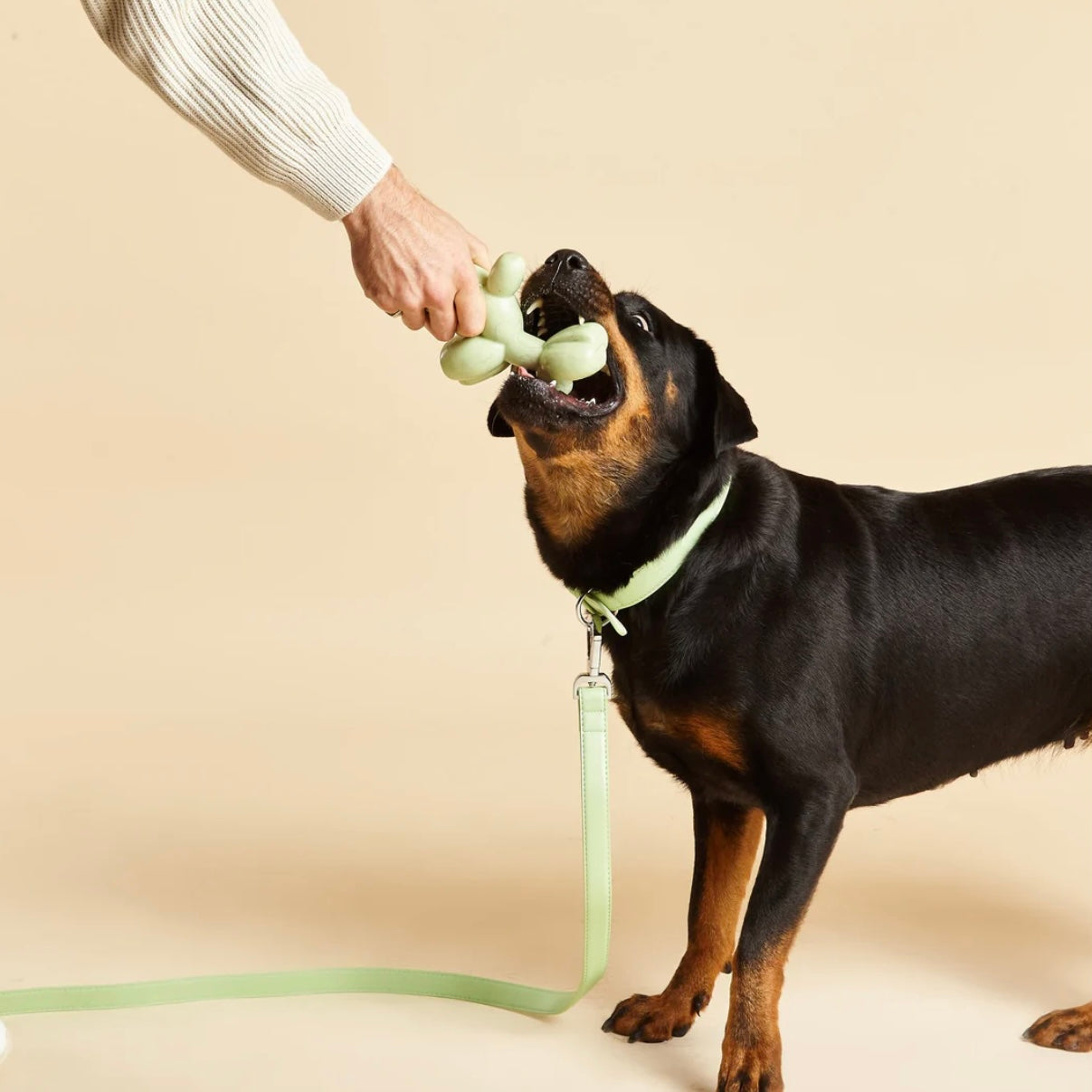 Balloon Squeaky Dog Toy