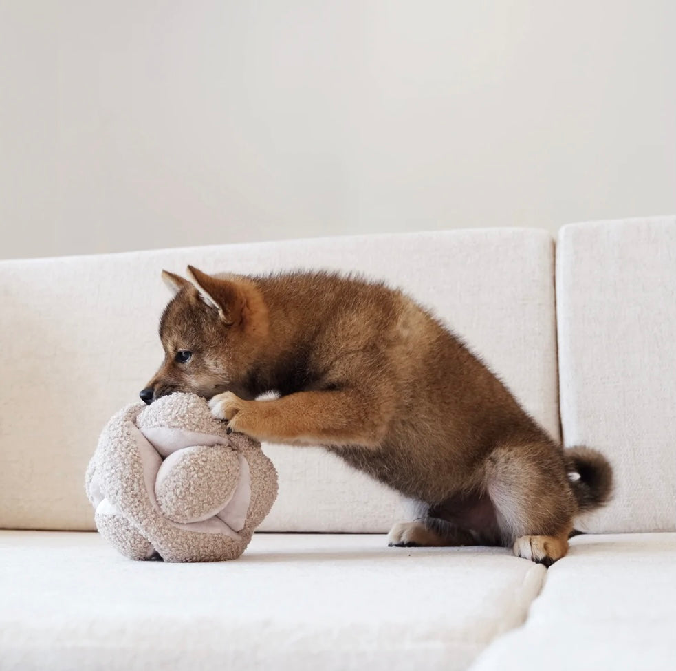 'Monti Schnüffeltier Hafer