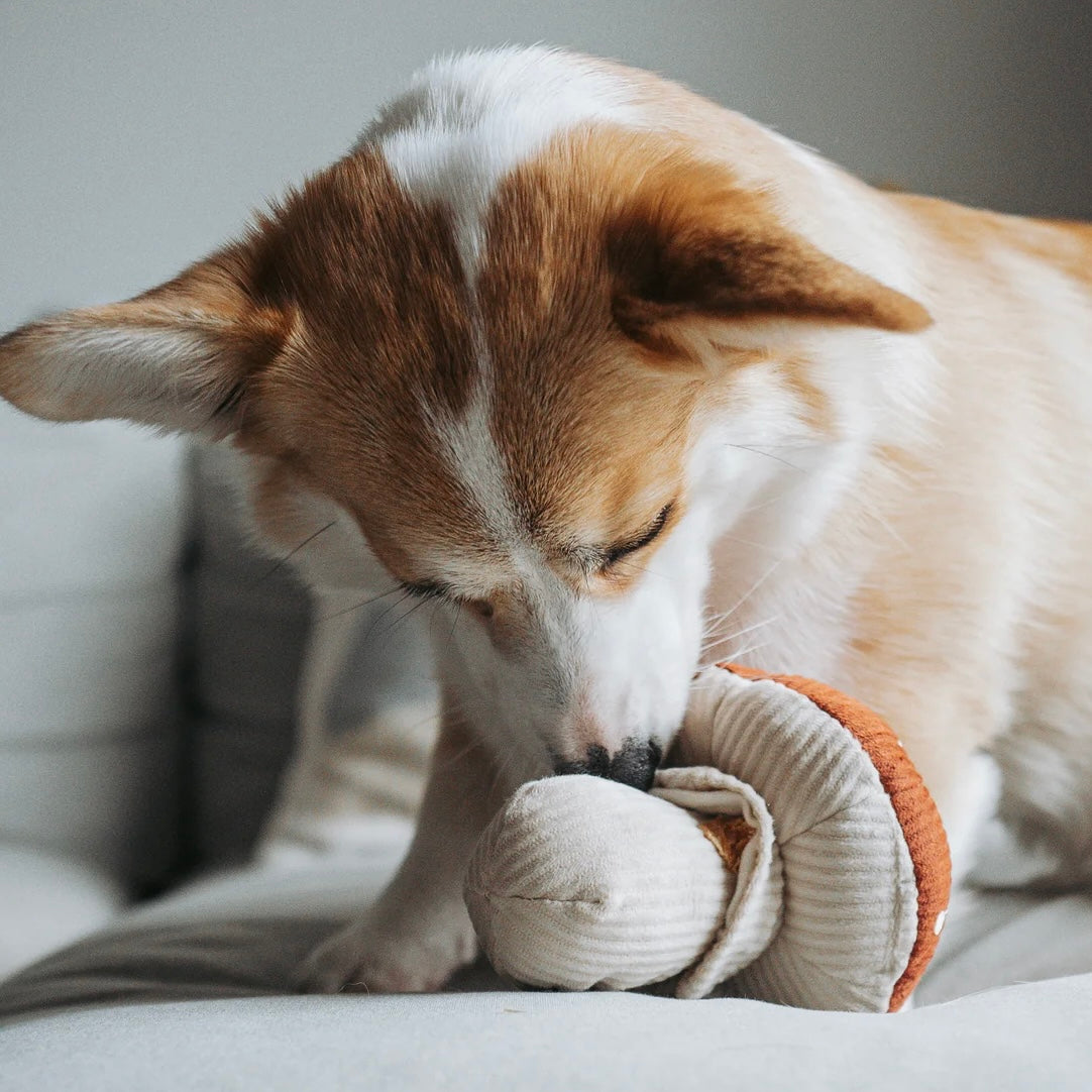 Snuffle mushroom