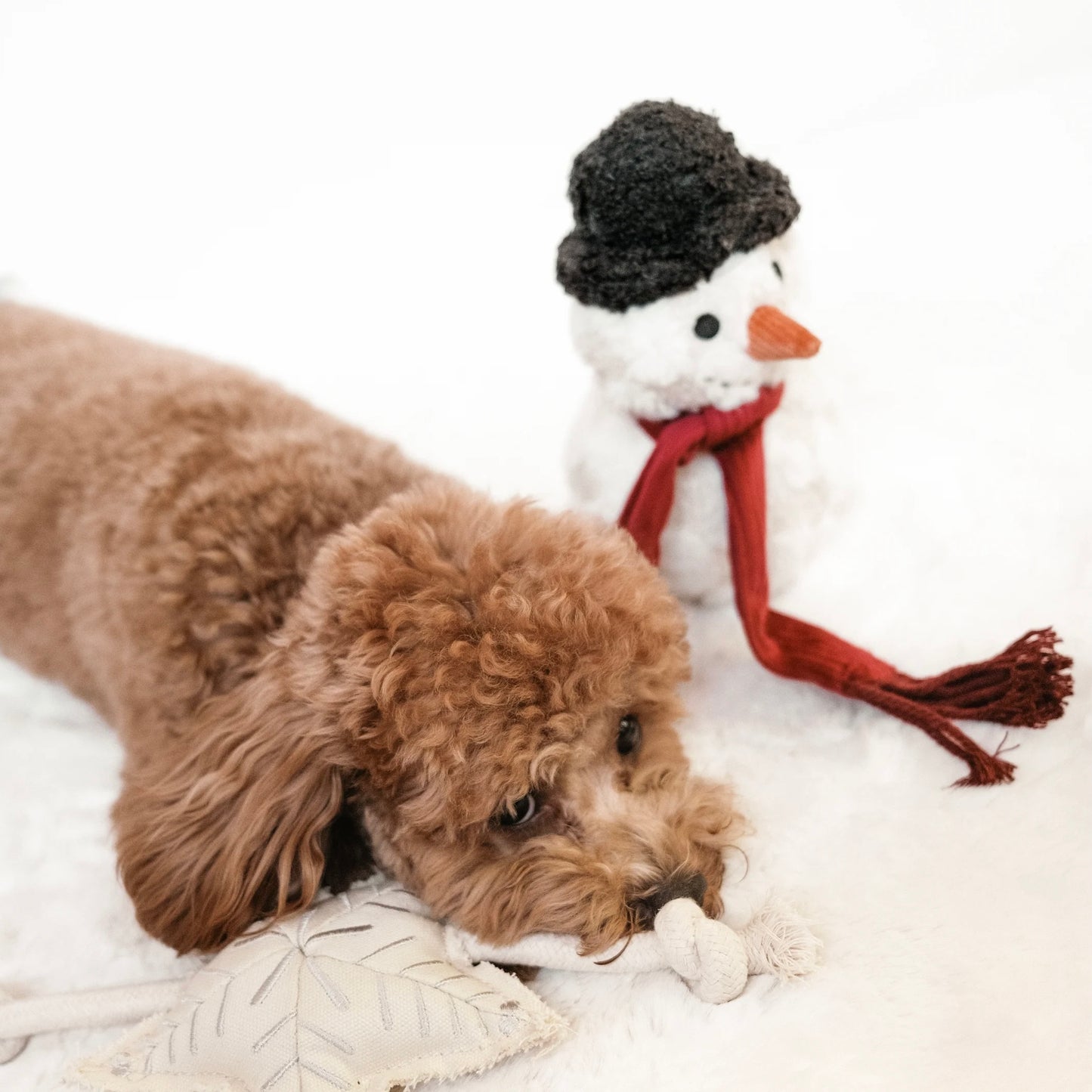 Snowman Dog toy