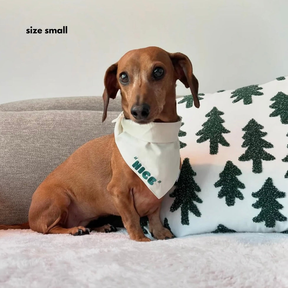 PRE ORDER Christmas dog bandana naughty nice