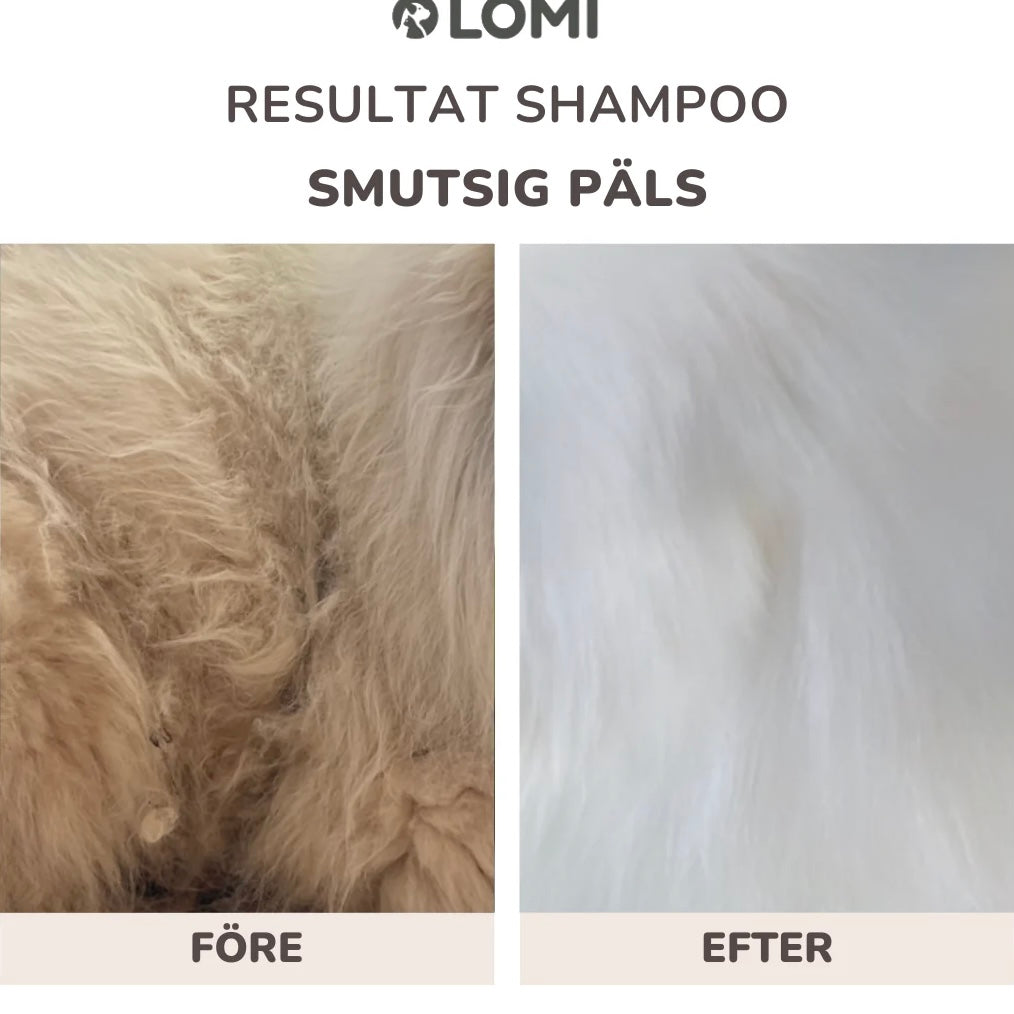 Gentle natural oat-based dog shampoo & conditioner