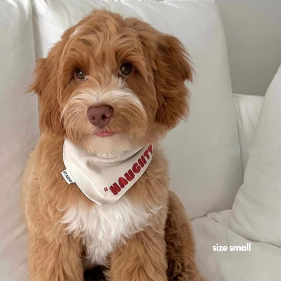 PRE ORDER Christmas dog bandana naughty nice