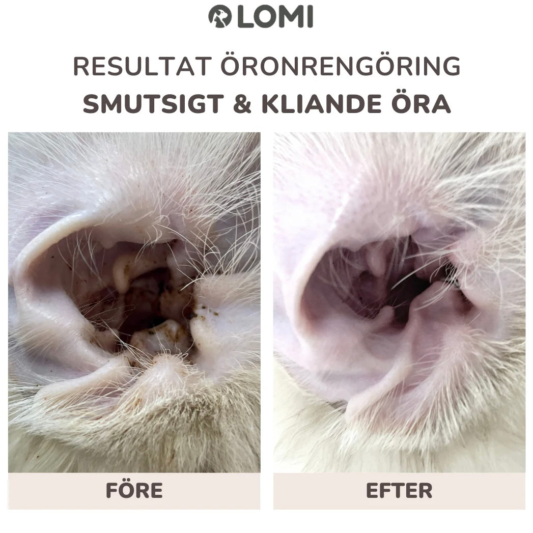 Natural Ear cleaner for dogs and cats