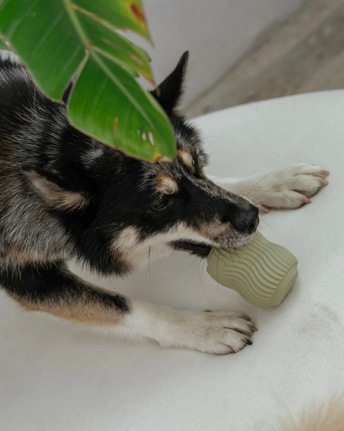 Aggressive Teething Toy & Enrichment Dog Toy Sage Green