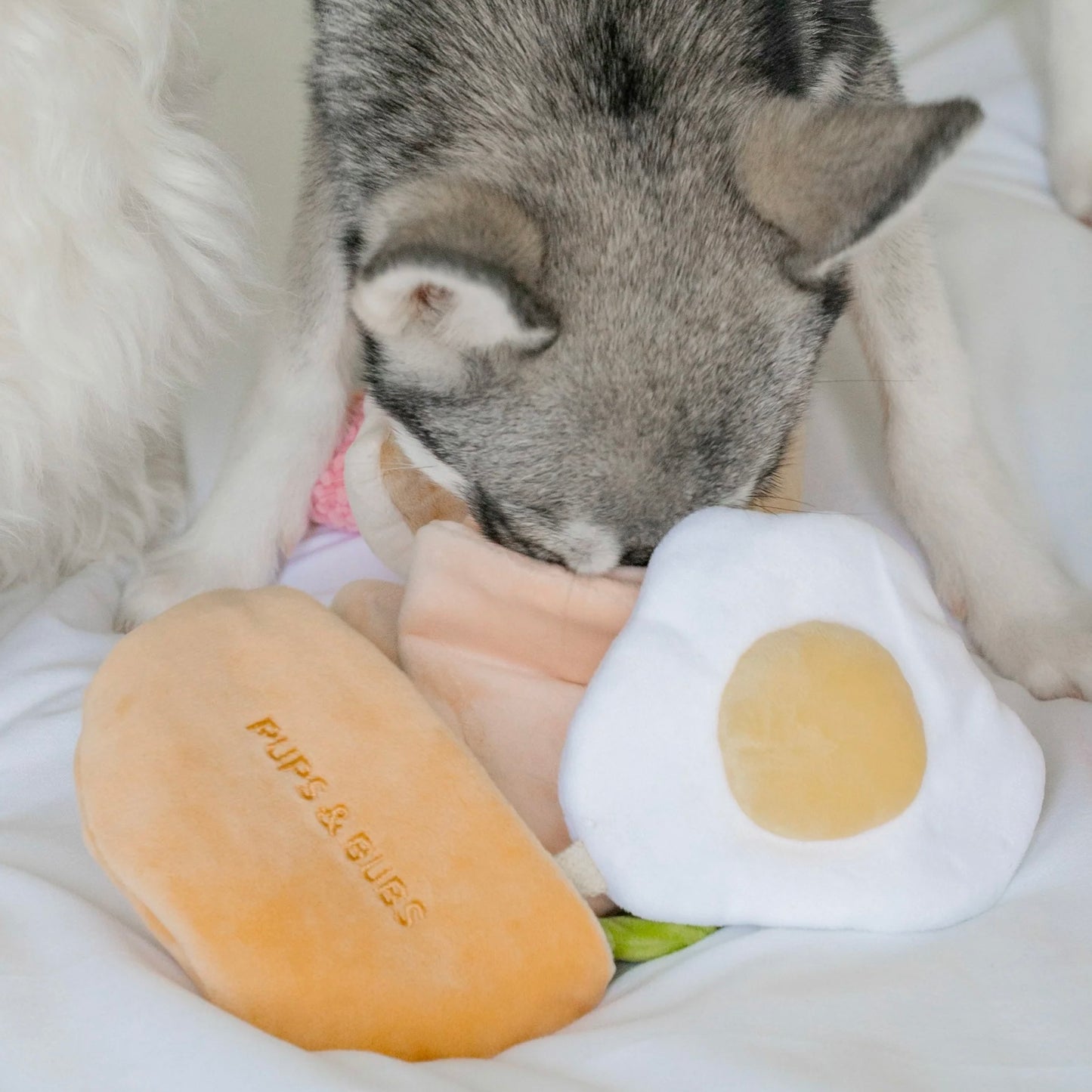 Pita Pocket Nosework Toy