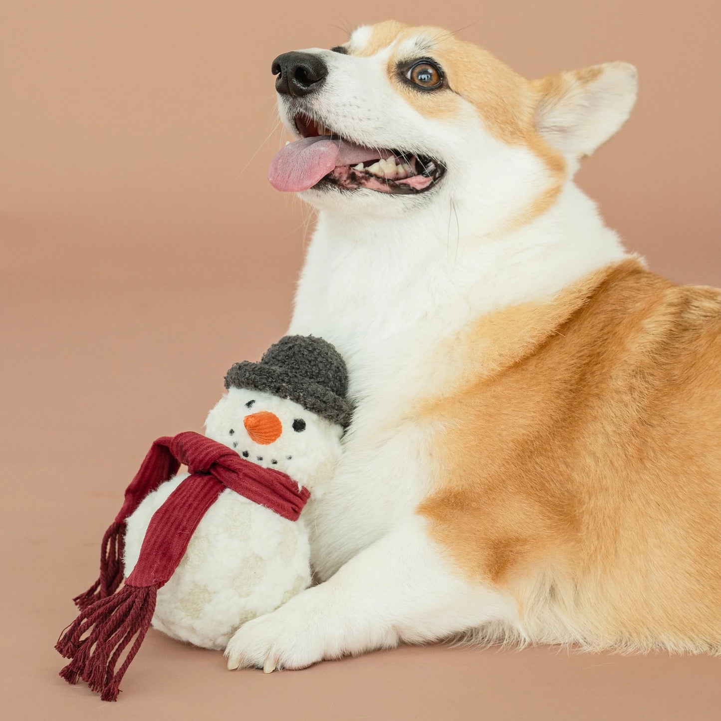 Snowman Dog toy