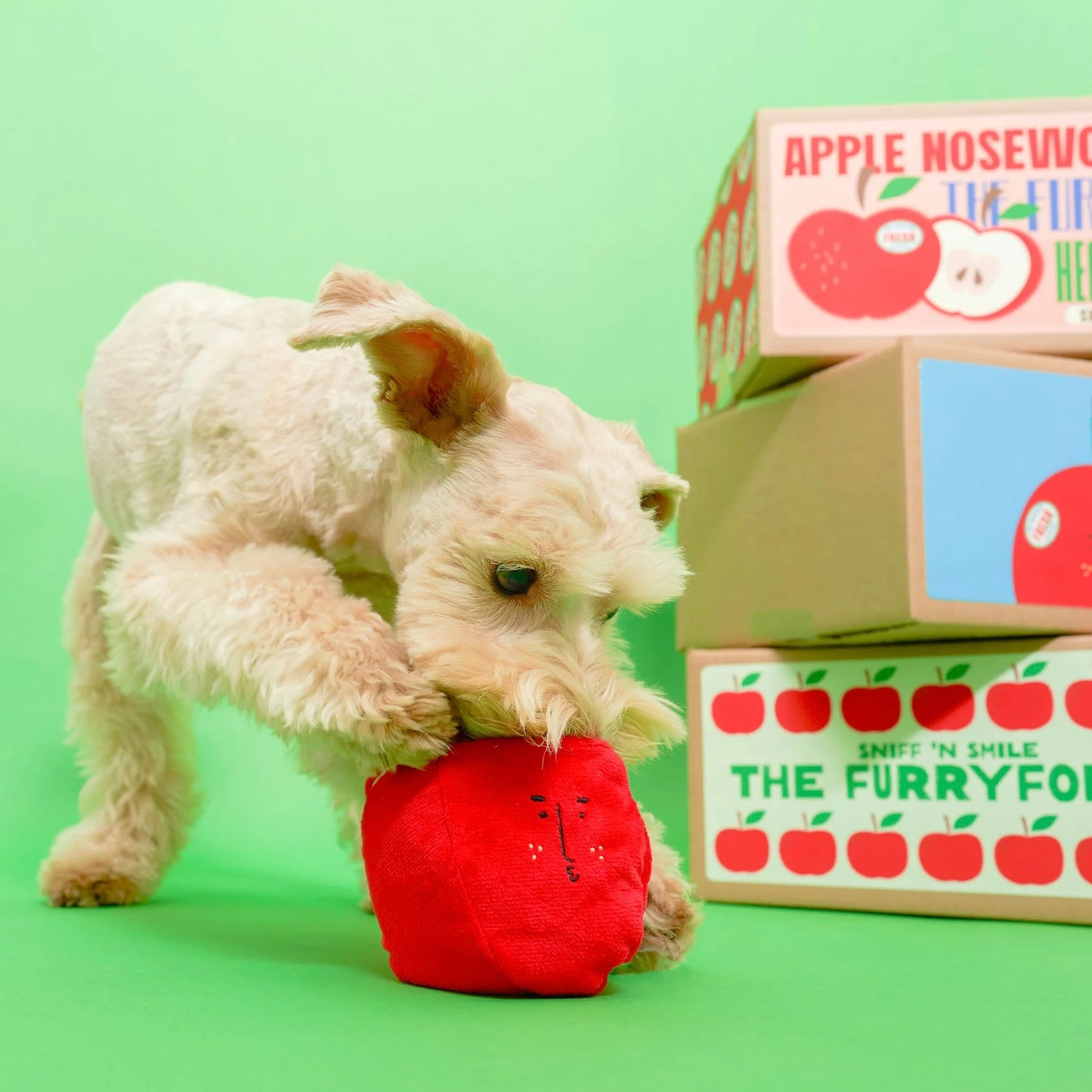 Apple Nosework Toy