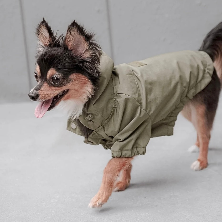 Brooklyn Dog raincoat green