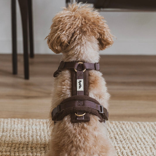 Soft Ribbed Velour Y-Design Dog Harness Brown