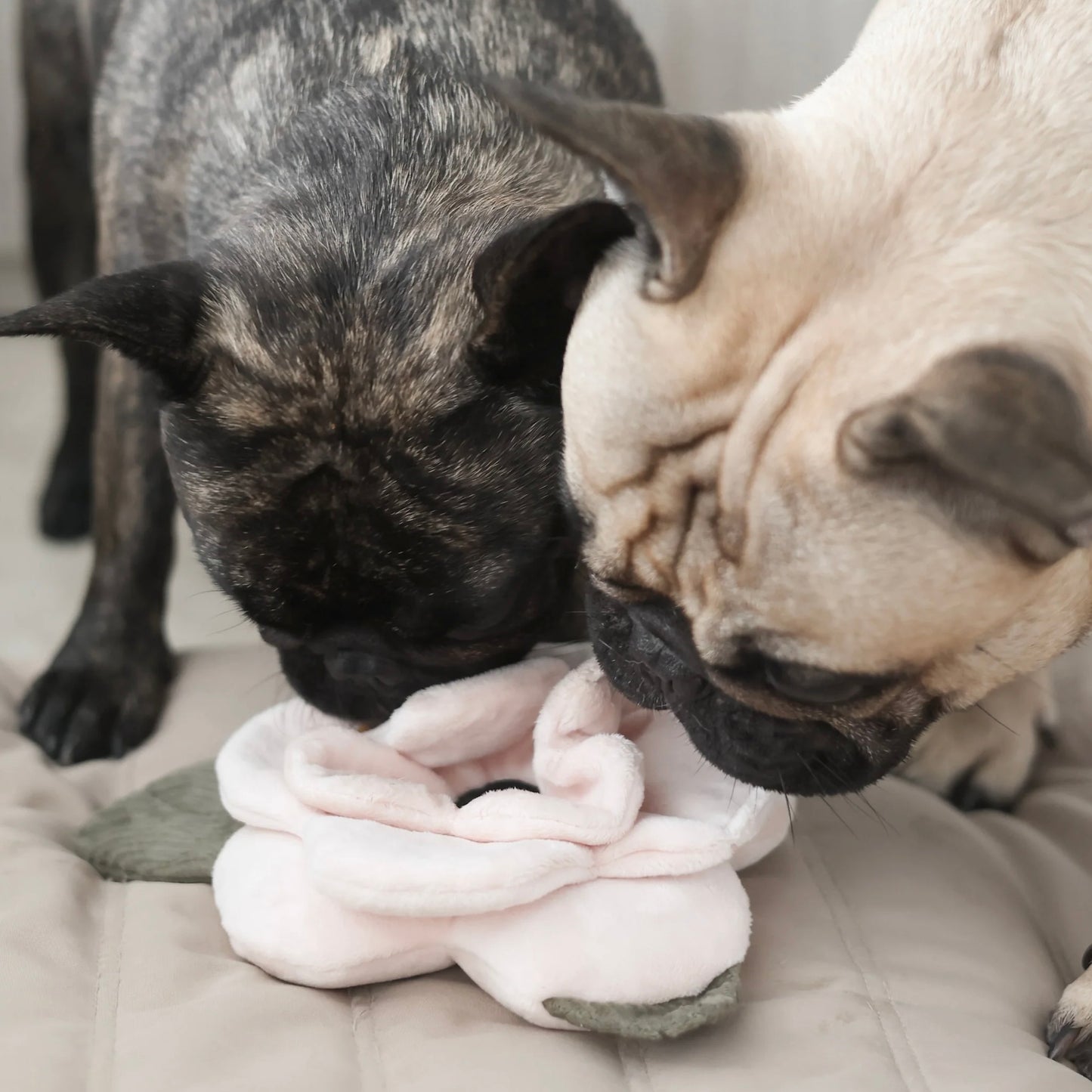 Poppy Snuffle toy