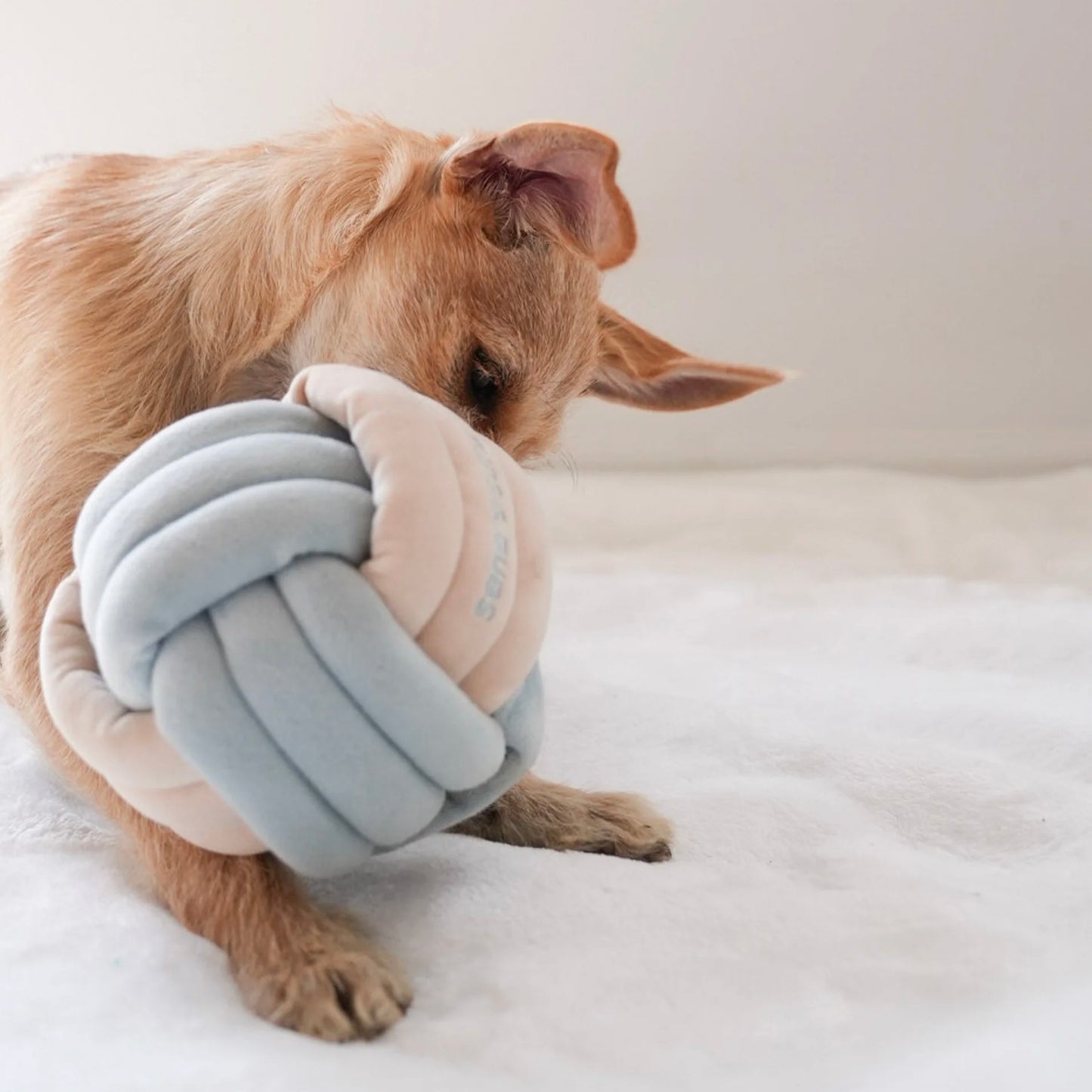 Snuffle Knot Nosework Toy