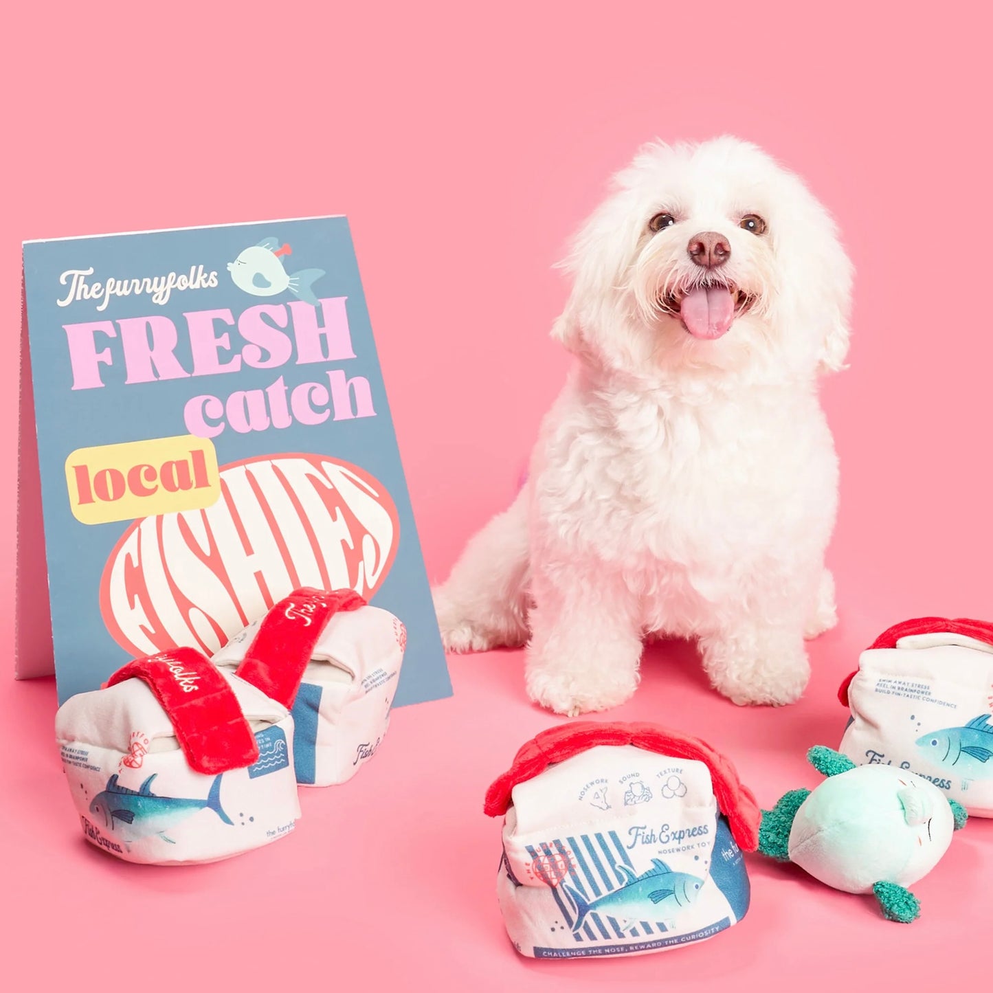 Fish Express Nosework Toy