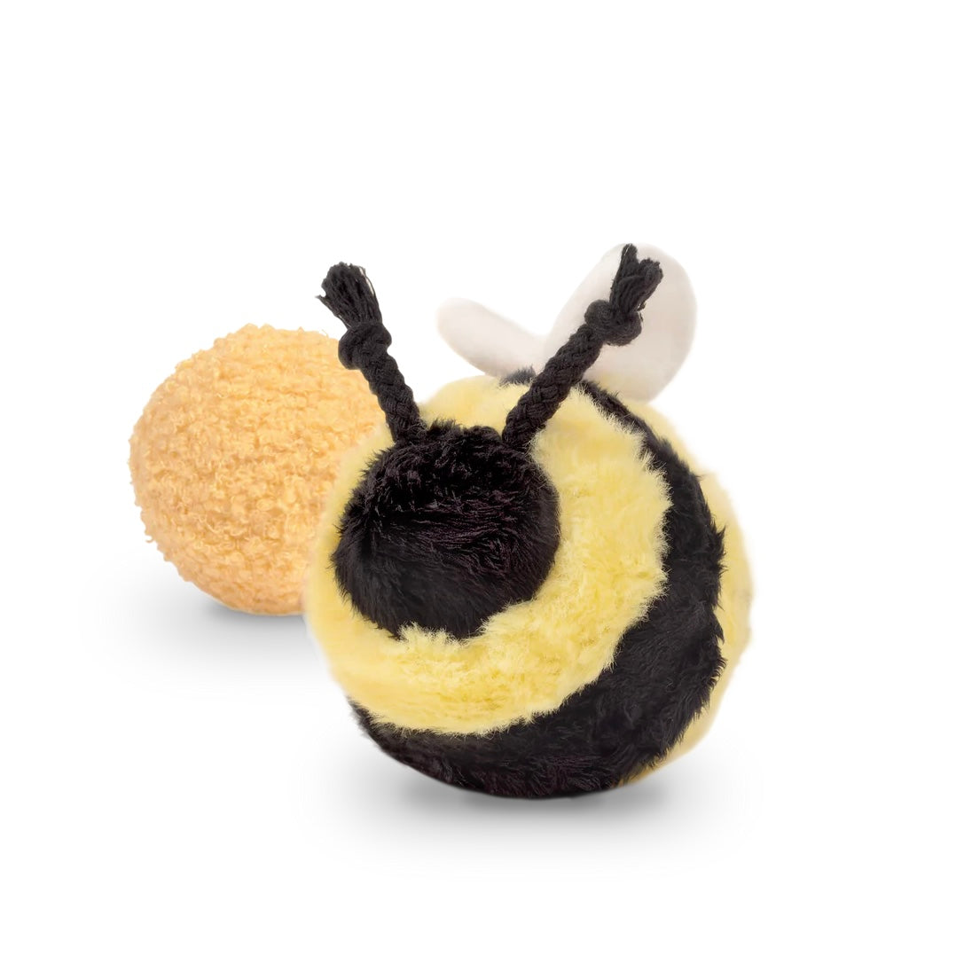 Bee Pop