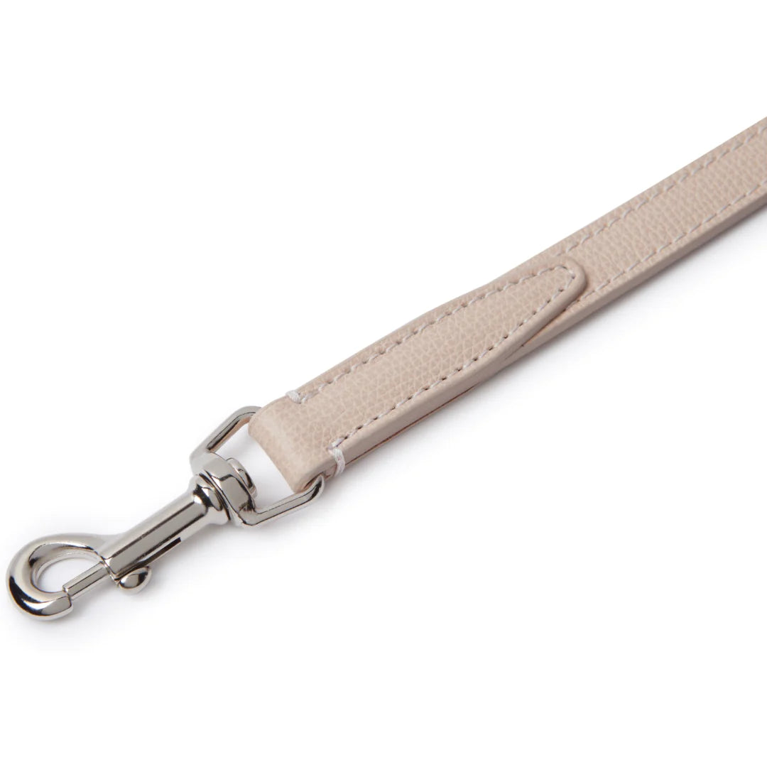 Tuscan city leash Rose