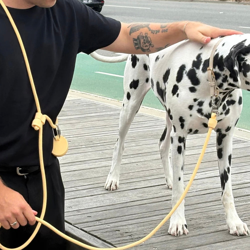 Hands Free Lead Butter