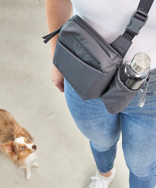 Andiamo Dog walking bag