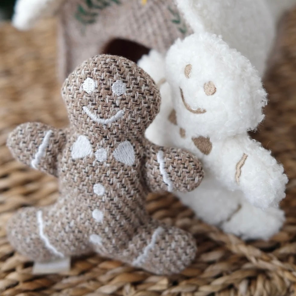 Gingerbread house enrichment dog toy