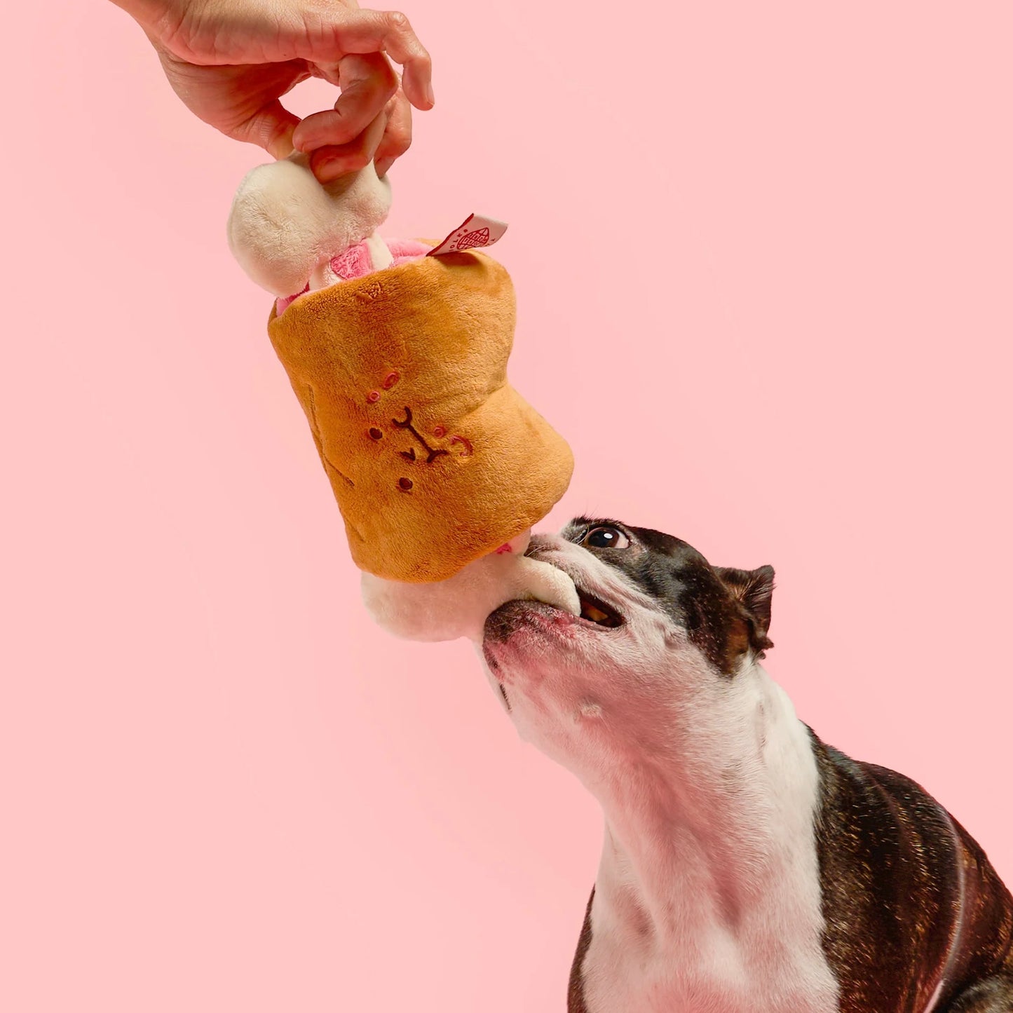 Bone Appétit Nosework Toy