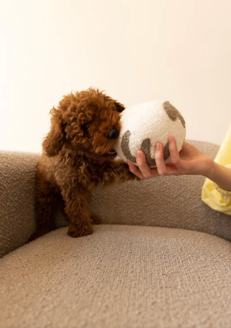 the bouclé ball