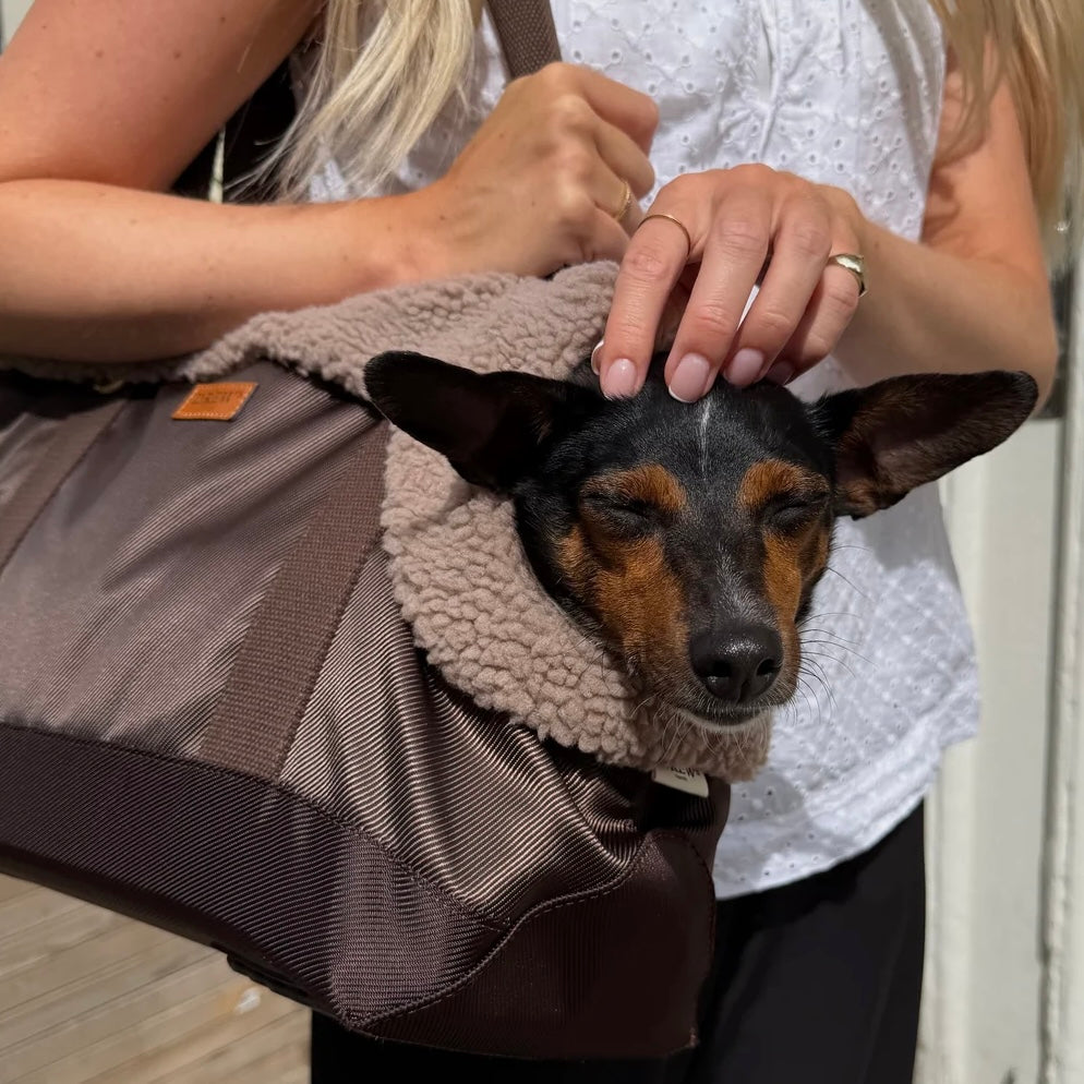 Cali Dog bag with teddy lining