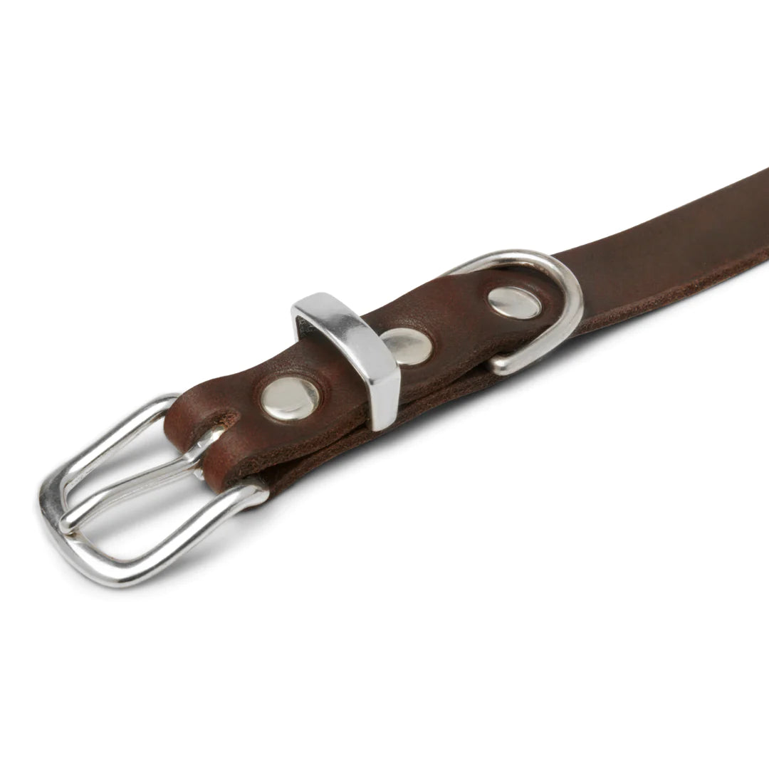 Butter leather dog collar Classic Brown