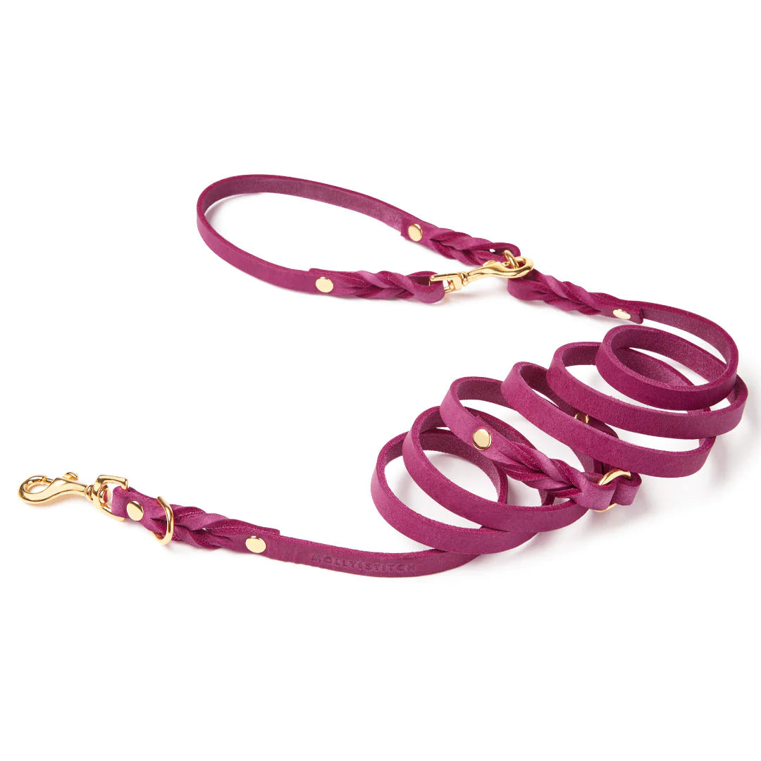 Butterleder 3-fach verstellbare Hundeleine Flamingo