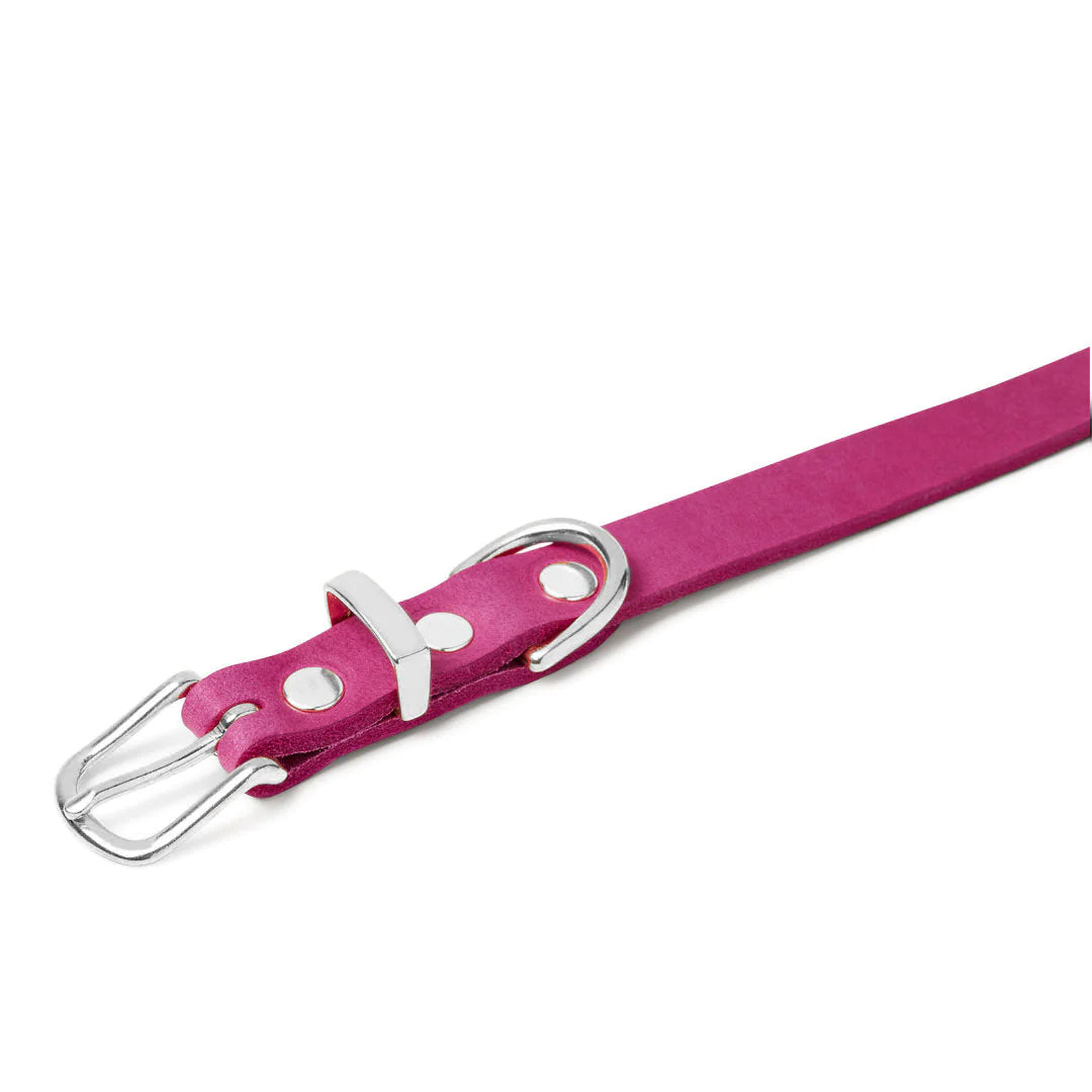 Hundehalsband Flamingo aus Butterleder