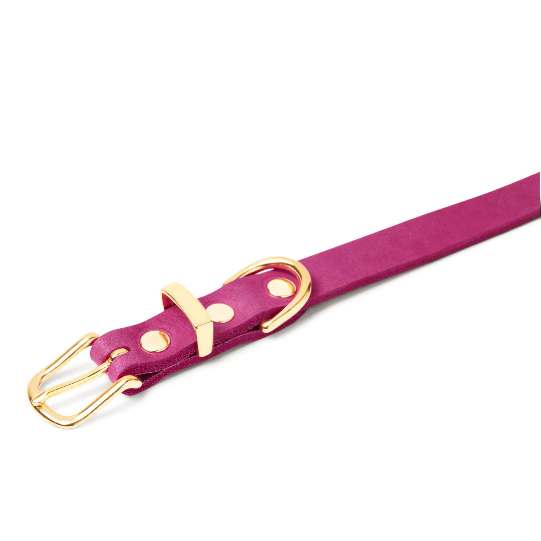 Hundehalsband Flamingo aus Butterleder