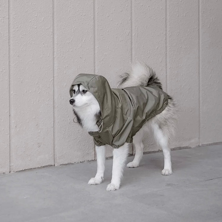 Brooklyn Dog raincoat green