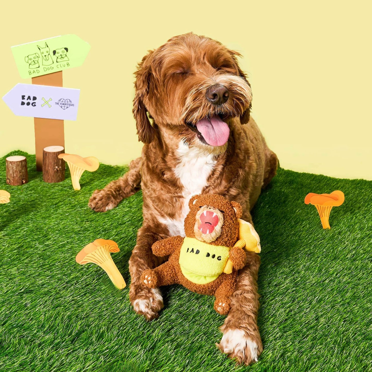 Happy Bear Tofino Nosework Toy