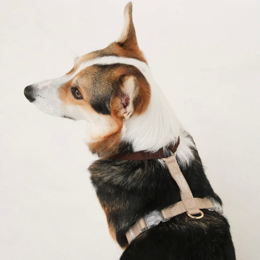 Brown and Tan Dog Harness