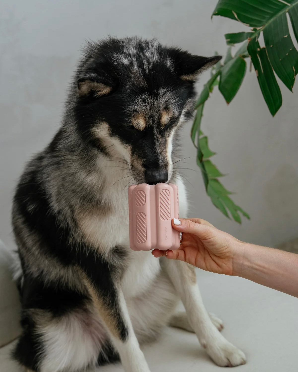 Aggressive Teething & Enrichment Toy Blush Pink