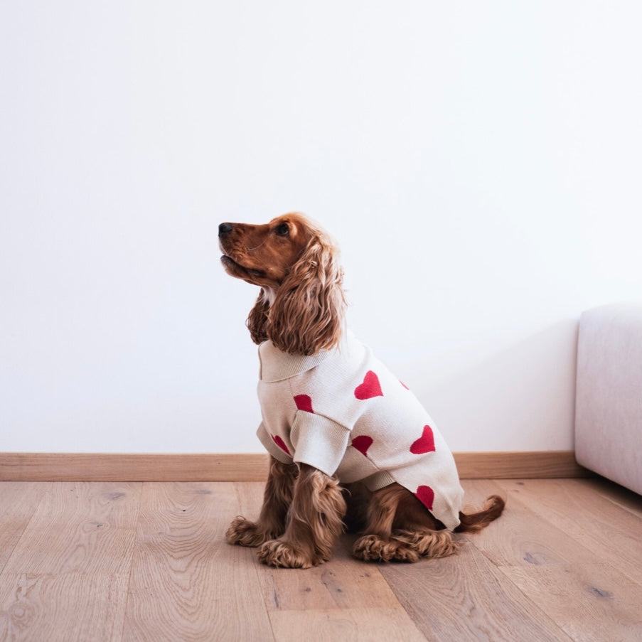 Knitted dog sweater with hearts beige