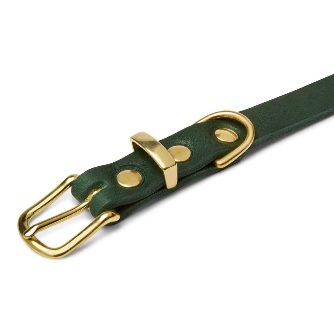 Butter leather dog collar Forest Green