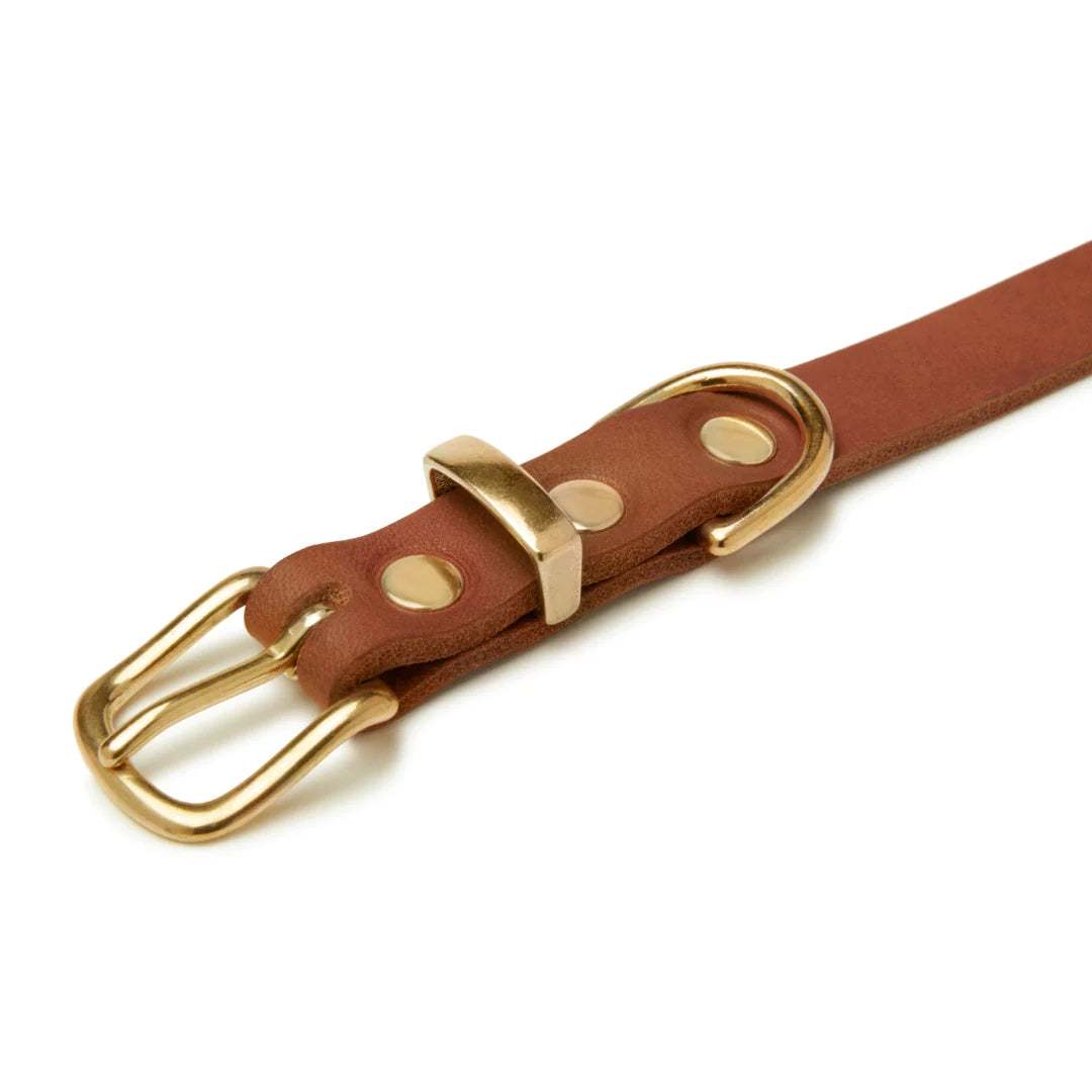 Butter leather dog collar Sahara