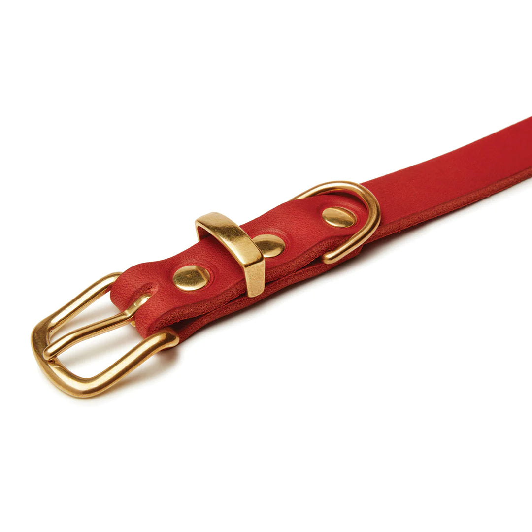 Butter leather dog collar Chili Red